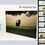 Prezentacja Kingi Wierzbickiej