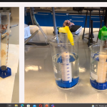 Eksperymenty biologiczne w praktyce szkolnej - Izabela Burtan