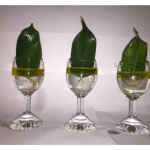 Eksperymenty biologiczne w praktyce szkolnej, Katedra Dydaktyki Biologii i Chemii, UP