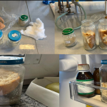 Eksperymenty biologiczne w praktyce szkolnej, Katedra Dydaktyki Biologii i Chemii, UP