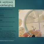 Jak mycie rąk wpływa na ich florę bakteryjną? Katedra Dydaktyki Biologii i Chemii, UP