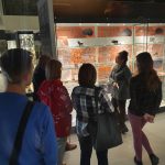 Centrum Edukacji Przyrodniczej Uniwersytetu Jagiellońskiego