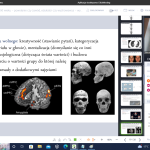 Prof Maciej Błaszak