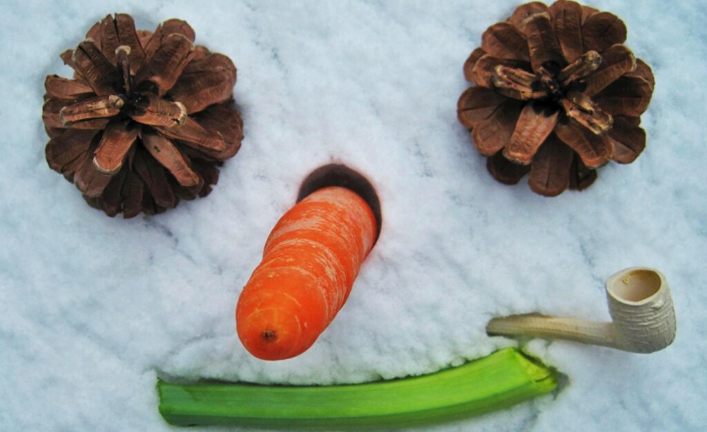 grafika warsztatów-2 szyszki, marchew, seler naciowy, fajka, wizerunek twarzy snowmana