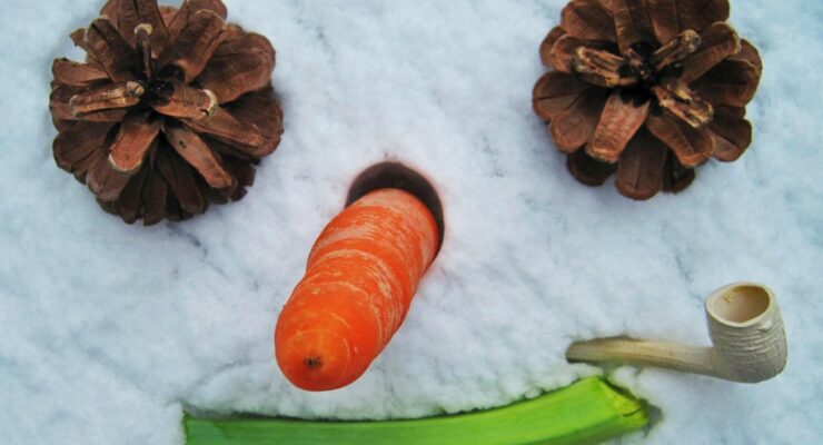 grafika warsztatów-2 szyszki, marchew, seler naciowy, fajka, wizerunek twarzy snowmana