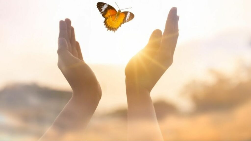 dłonie wypuszczające motyla