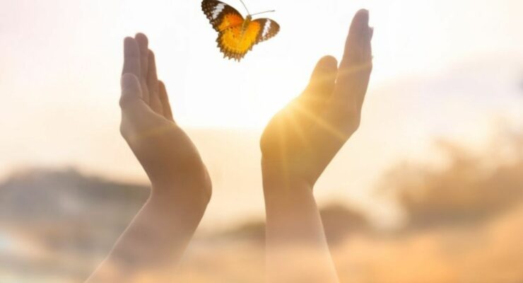 dłonie wypuszczające motyla